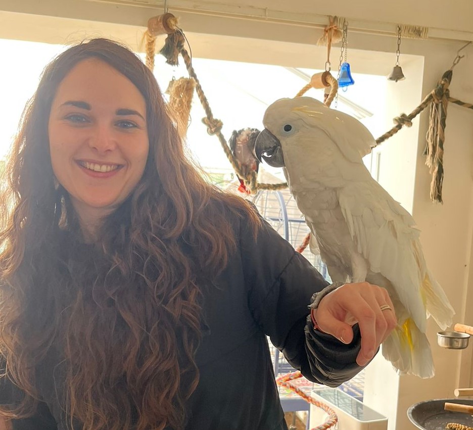 Manx Wild Bird Aid DQ Advocates